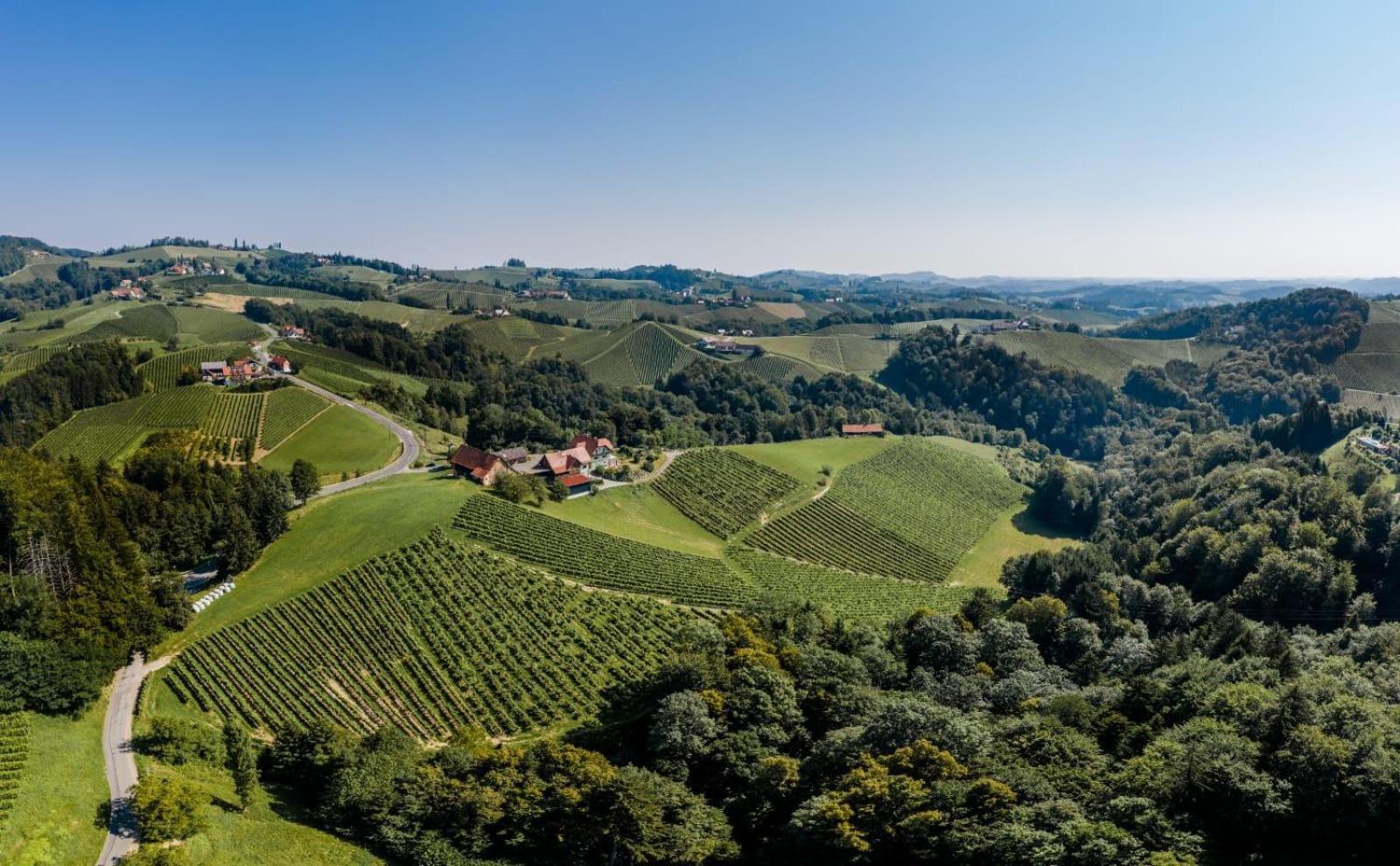 Bed and Breakfast Weingut Juritsch Leutschach Exterior foto