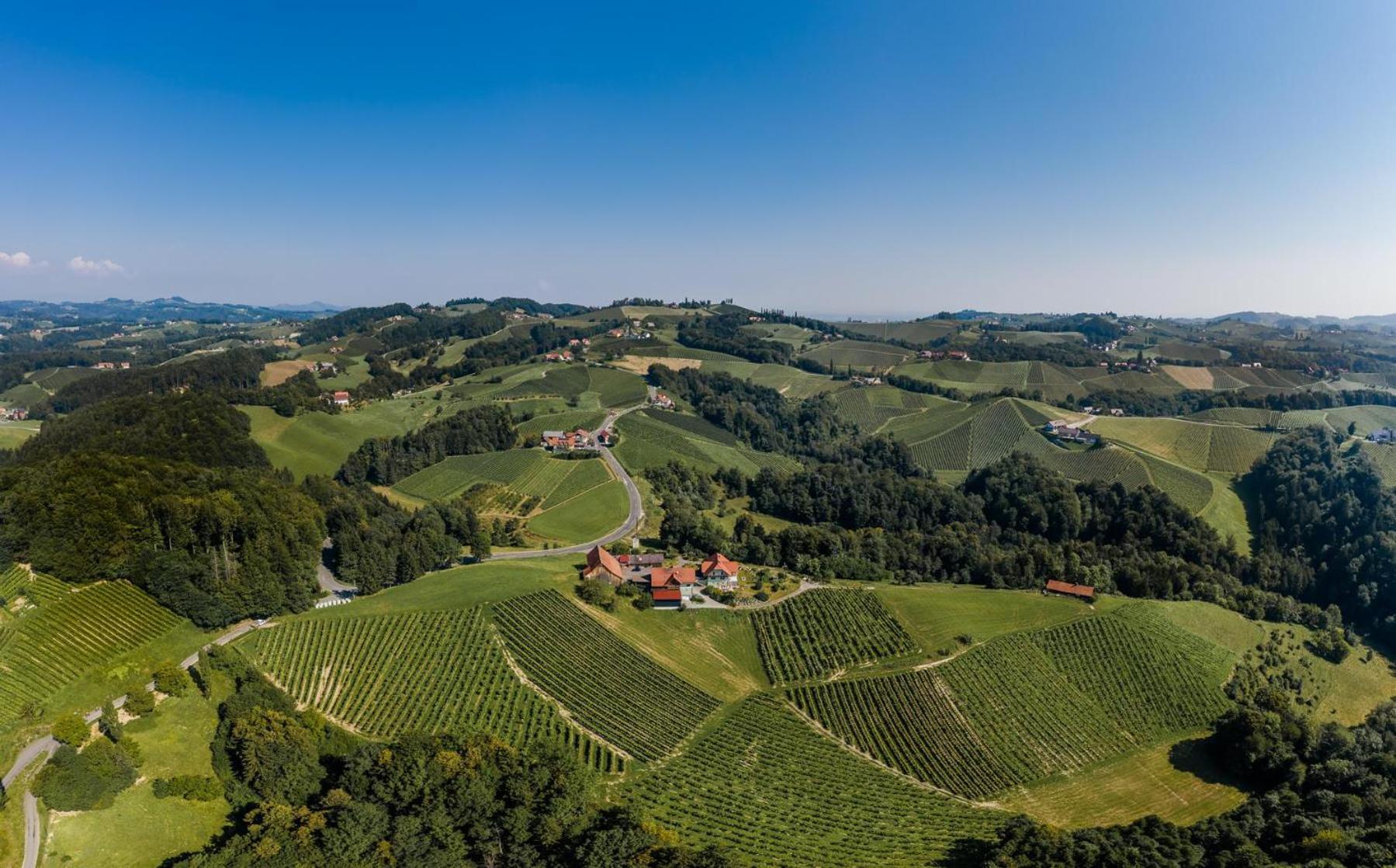 Bed and Breakfast Weingut Juritsch Leutschach Exterior foto